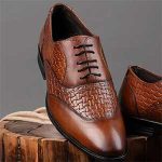 بیست درصد تخفیف ویژه